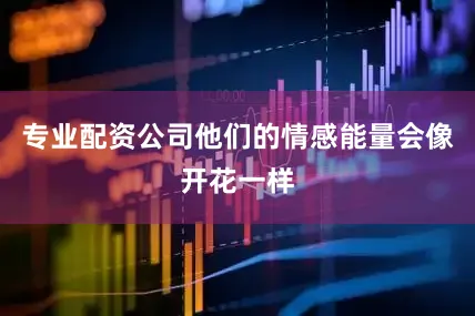 专业配资公司他们的情感能量会像开花一样
