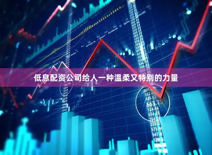 低息配资公司给人一种温柔又特别的力量
