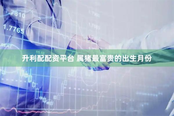 升利配配资平台 属猪最富贵的出生月份