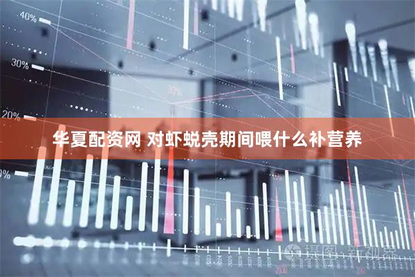 华夏配资网 对虾蜕壳期间喂什么补营养