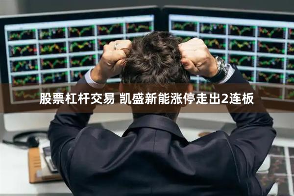 股票杠杆交易 凯盛新能涨停走出2连板