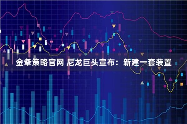 金夆策略官网 尼龙巨头宣布：新建一套装置