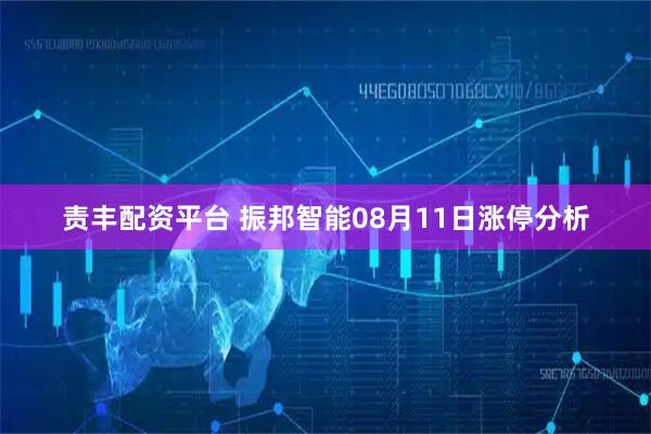 责丰配资平台 振邦智能08月11日涨停分析